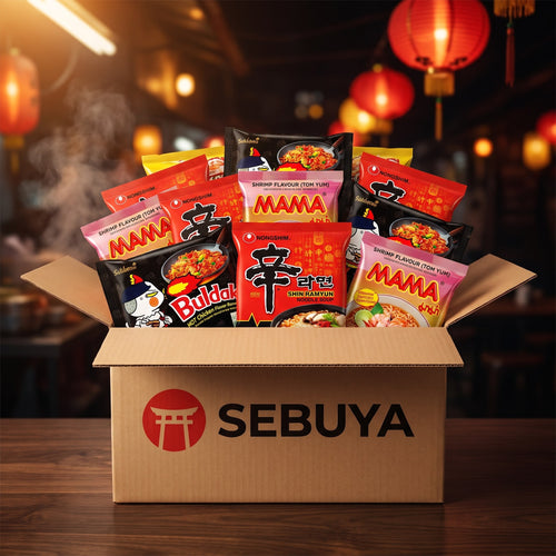 Asien Entdecker-Box – 20 Stück Nudel-Mix
