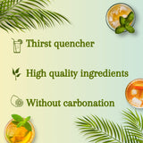 OISHI - Grüner Tee Original - Multipack (24 X 500 ML) – Bild 4